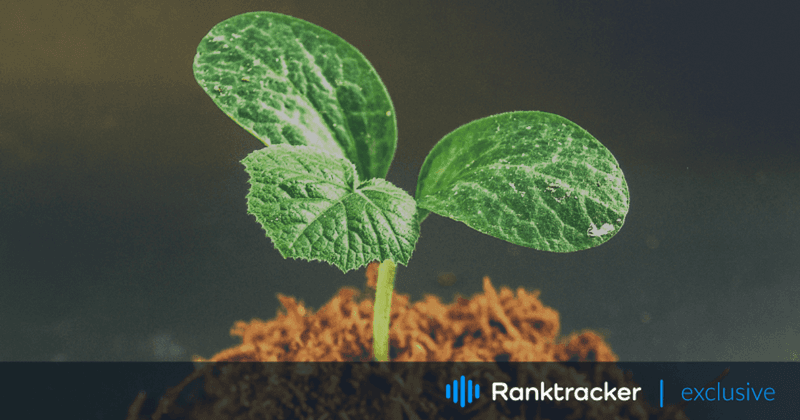 7 beste Möglichkeiten, Ihr SaaS-Startup mit PPC und SEO zu vergrößern