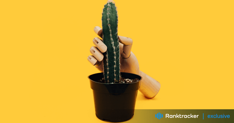 Analytiikka ja seuranta OnlyFans SEO:lle