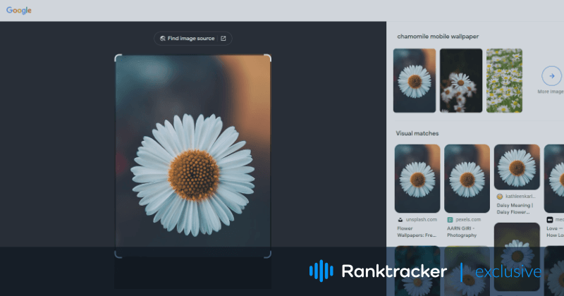 Wie man Bilder für die visuelle Suche optimiert