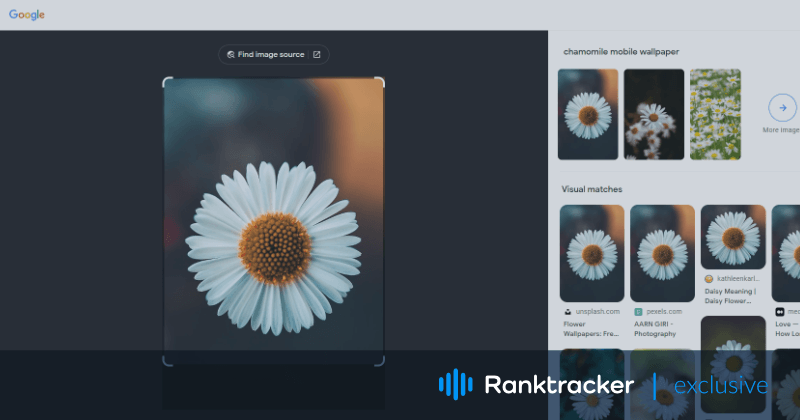 Wie man Bilder für die visuelle Suche optimiert
