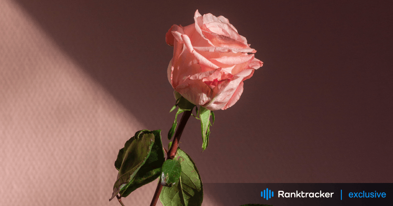 Romanttiset edistysaskeleet LinkedInissä: Onko foorumi menettämässä olemustaan?