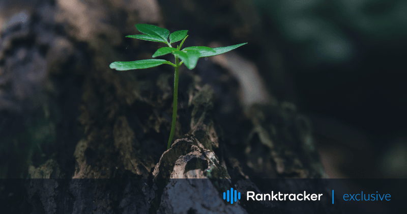 SaaS SEO-strategia: 2023