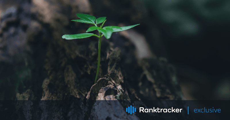 SaaS SEO-strategia: 2023
