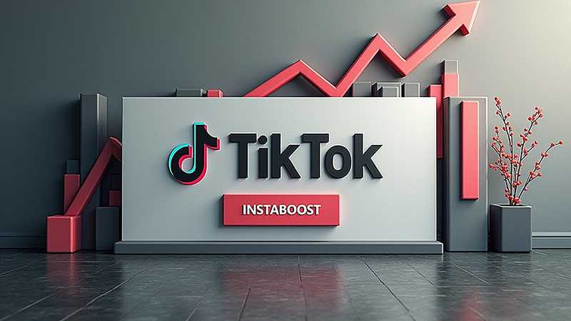 InstaBoost：购买 TikTok 点赞数