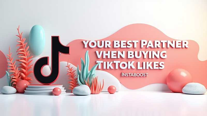 InstaBoost：TikTokの「いいね！」を購入する