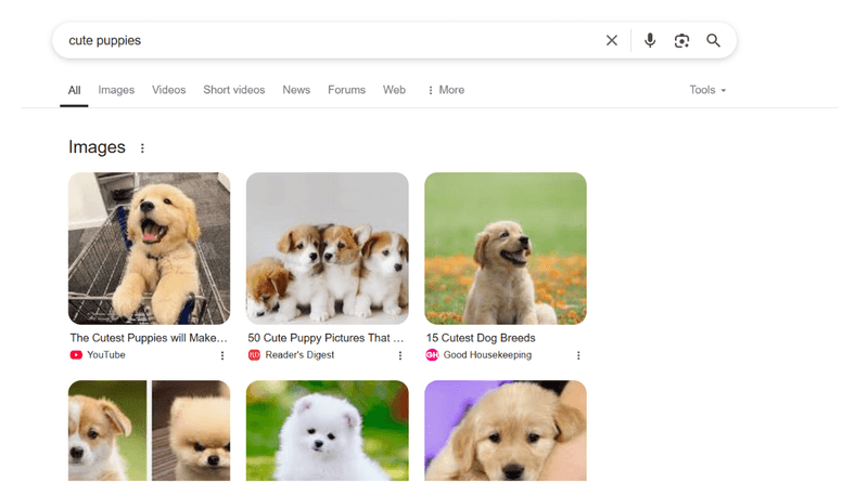 Image & Video Carousels