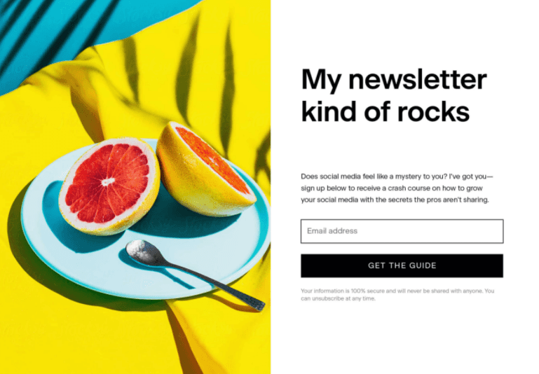 Schermata del modulo newsletter di Flodesk