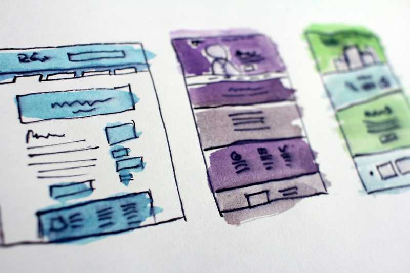 performance in brand trust