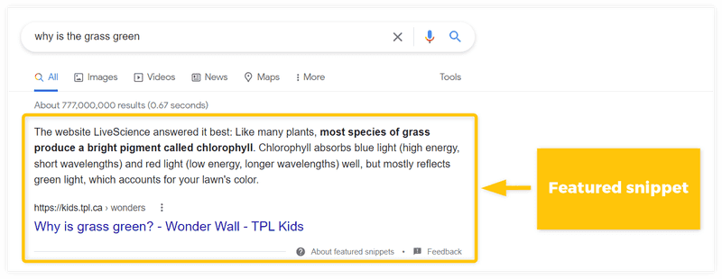 SERP Insight