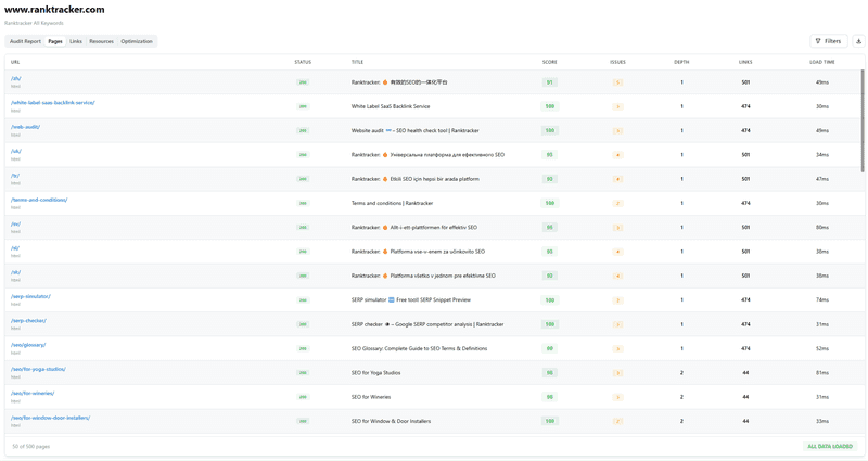 Website Audit