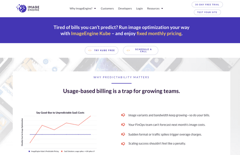 Image Hosting Platforms