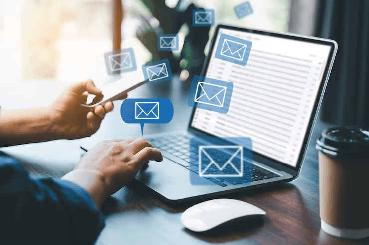 Email Marketing Expenditure*