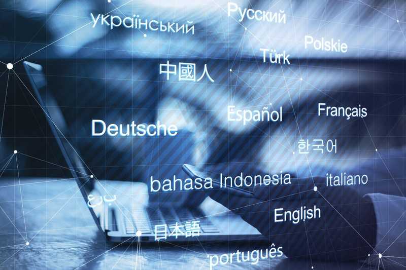 Building a Multilingual WordPress Website